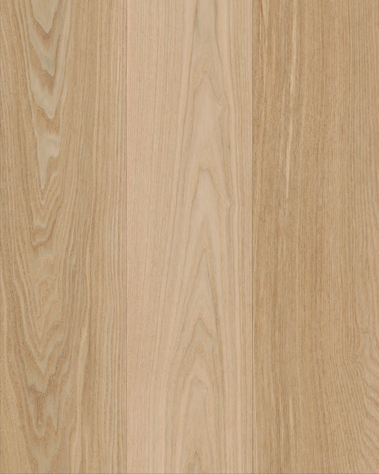 White Ash Wood Sample