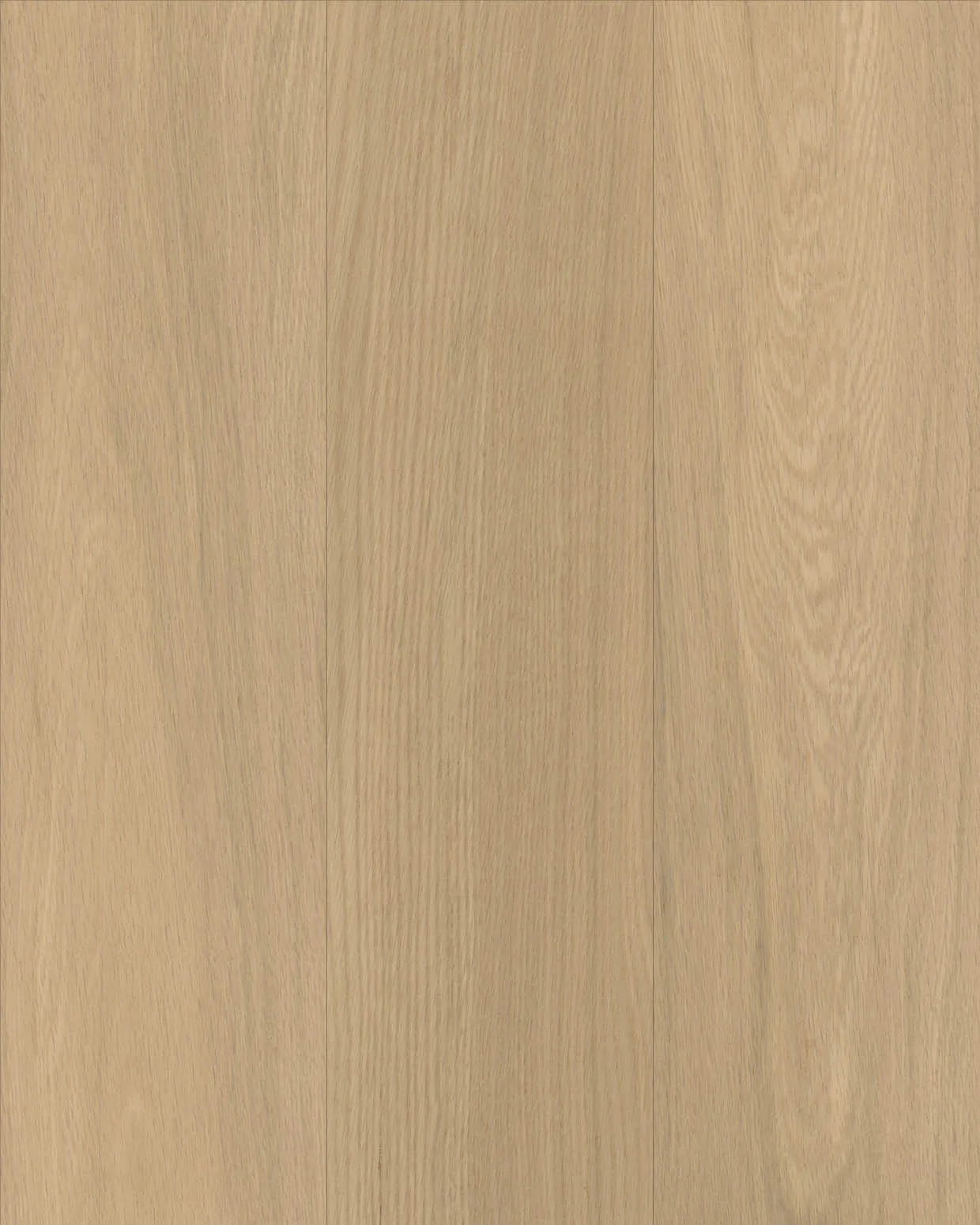 White Oak Wood Sample